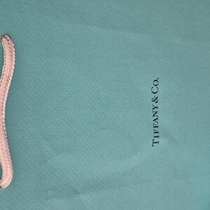 🔥🆕🔥 2x Tiffany & Co. Gift Bags | Medium/Large Blue Shopping Bag | 8" x 10"